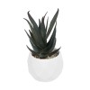 GloboStar® Artificial Garden SUCCULENT ALOE POTTED PLANT 20978 Διακοσμητικό Φυτό Αλόης Φ7 x Υ14cm