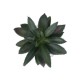 GloboStar® Artificial Garden SUCCULENT ALOE POTTED PLANT 20983 Διακοσμητικό Φυτό Αλόης Φ9 x Υ12cm