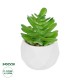GloboStar® Artificial Garden SUCCULENT CRASSULA POTTED PLANT 20986 Διακοσμητικό Φυτό Κρασούλα Φ6 x Υ10cm GloboStar® Artificial Garden SUCCULENT CRASSULA POTTED PLANT 20986 Διακοσμητικό Φυτό Κρασούλα Φ6 x Υ10cm