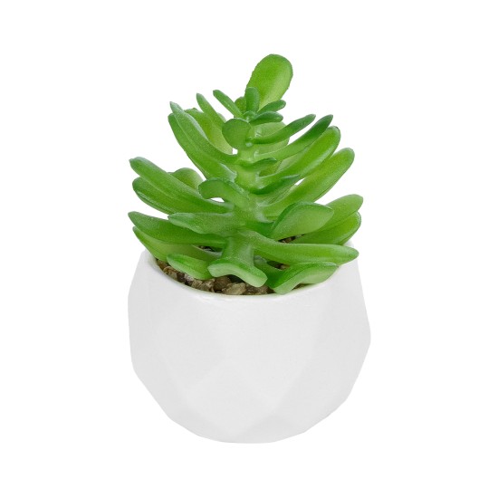 GloboStar® Artificial Garden SUCCULENT CRASSULA POTTED PLANT 20986 Διακοσμητικό Φυτό Κρασούλα Φ6 x Υ10cm GloboStar® Artificial Garden SUCCULENT CRASSULA POTTED PLANT 20986 Διακοσμητικό Φυτό Κρασούλα Φ6 x Υ10cm
