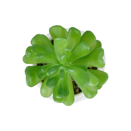 GloboStar® Artificial Garden SUCCULENT CRASSULA POTTED PLANT 20986 Διακοσμητικό Φυτό Κρασούλα Φ6 x Υ10cm GloboStar® Artificial Garden SUCCULENT CRASSULA POTTED PLANT 20986 Διακοσμητικό Φυτό Κρασούλα Φ6 x Υ10cm