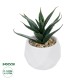 GloboStar® Artificial Garden SUCCULENT ALOE POTTED PLANT 20992 Διακοσμητικό Φυτό Αλόη Φ8 x Υ12cm GloboStar® Artificial Garden SUCCULENT ALOE POTTED PLANT 20992 Διακοσμητικό Φυτό Αλόη Φ8 x Υ12cm