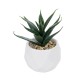 GloboStar® Artificial Garden SUCCULENT ALOE POTTED PLANT 20992 Διακοσμητικό Φυτό Αλόη Φ8 x Υ12cm GloboStar® Artificial Garden SUCCULENT ALOE POTTED PLANT 20992 Διακοσμητικό Φυτό Αλόη Φ8 x Υ12cm