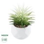 GloboStar® Artificial Garden SUCCULENT SENECIO 20997 Διακοσμητικό Φυτό Παχύφυτο Σενέκιο Υ12cm
