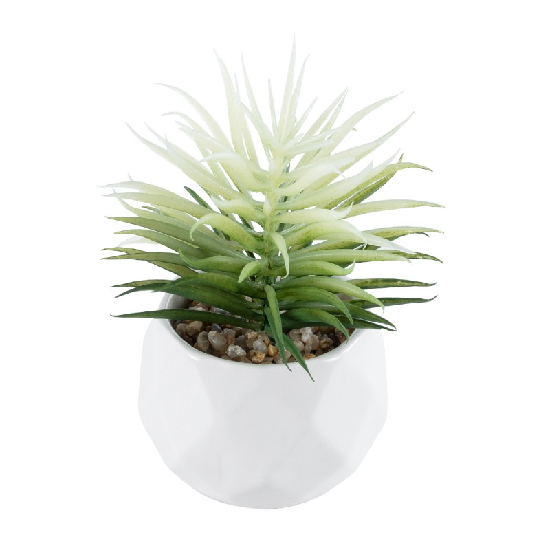 GloboStar® Artificial Garden SUCCULENT SENECIO 20997 Διακοσμητικό Φυτό Παχύφυτο Σενέκιο Υ12cm