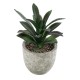GloboStar® Artificial Garden SUCCULENT ALOE 21011 Διακοσμητικό Φυτό Παχύφυτο Αλόη Υ13cm