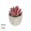 GloboStar® Artificial Garden SUCCULENT SEDEVERIA 21020 Τεχνητό Διακοσμητικό Φυτό Σεδεβέρια Μ6.5 x Π6.5 x Υ9cm