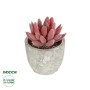 GloboStar® Artificial Garden SUCCULENT SEDEVERIA 21020 Τεχνητό Διακοσμητικό Φυτό Σεδεβέρια Μ6.5 x Π6.5 x Υ9cm