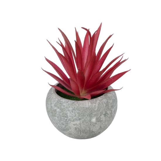 GloboStar® Artificial Garden AIR PLANT TILLANDSIA POTTED PLANT 21035 Διακοσμητικό Φυτό Τιλάντσια Φ12 x Υ15cm GloboStar® Artificial Garden AIR PLANT TILLANDSIA POTTED PLANT 21035 Διακοσμητικό Φυτό Τιλάντσια Φ12 x Υ15cm