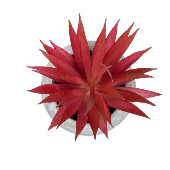 GloboStar® Artificial Garden AIR PLANT TILLANDSIA POTTED PLANT 21035 Διακοσμητικό Φυτό Τιλάντσια Φ12 x Υ15cm GloboStar® Artificial Garden AIR PLANT TILLANDSIA POTTED PLANT 21035 Διακοσμητικό Φυτό Τιλάντσια Φ12 x Υ15cm