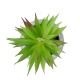 GloboStar® Artificial Garden AIR PLANT TILLANDSIA POTTED PLANT 21036 Διακοσμητικό Φυτό Τιλάντσια Φ12 x Υ15cm