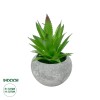 GloboStar® Artificial Garden SUCCULENT ALOE POTTED PLANT 21037 Διακοσμητικό Φυτό Αλόη Φ10 x Υ15cm