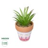 GloboStar® Artificial Garden AIR PLANT NEOPHYTUM POTTED PLANT 21043 Διακοσμητικό Φυτό Νεόφυτο Φ12 x Υ15cm