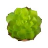 GloboStar® Artificial Garden SUCCULENT ECHEVERIA 21049 Διακοσμητικό Φυτό Παχύφυτο Εχεβέρια Υ14cm