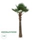 GloboStar® Artificial Garden PLANT PALM TREE 21055 Διακοσμητικό Δέντρο Φοίνικα Φ240 x Υ400cm GloboStar® Artificial Garden PLANT PALM TREE 21055 Διακοσμητικό Δέντρο Φοίνικα Φ240 x Υ400cm