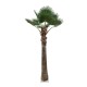 GloboStar® Artificial Garden PLANT PALM TREE 21055 Διακοσμητικό Δέντρο Φοίνικα Φ240 x Υ400cm GloboStar® Artificial Garden PLANT PALM TREE 21055 Διακοσμητικό Δέντρο Φοίνικα Φ240 x Υ400cm