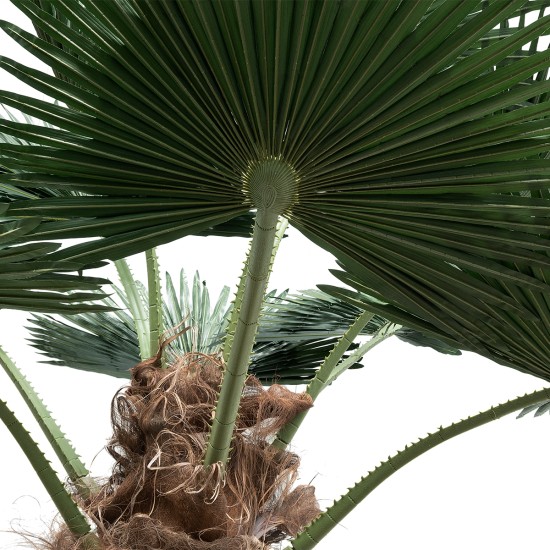 GloboStar® Artificial Garden PLANT PALM TREE 21055 Διακοσμητικό Δέντρο Φοίνικα Φ240 x Υ400cm GloboStar® Artificial Garden PLANT PALM TREE 21055 Διακοσμητικό Δέντρο Φοίνικα Φ240 x Υ400cm