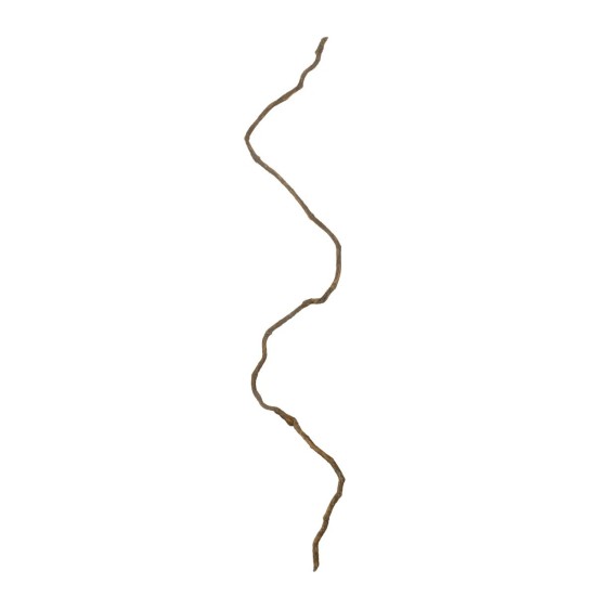 GloboStar® Artificial Garden DRY VINE 21067 Τεχνητό Διακοσμητικό Κλαδί Ξηρό Αμπέλι Μ8 x Π8 x Υ180cm - Σετ 10 τμχ GloboStar® Artificial Garden DRY VINE 21067 Τεχνητό Διακοσμητικό Κλαδί Ξηρό Αμπέλι Μ8 x Π8 x Υ180cm - Σετ 10 τμχ