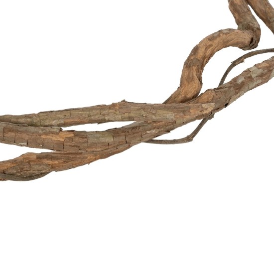 GloboStar® Artificial Garden DRY VINE 21067 Τεχνητό Διακοσμητικό Κλαδί Ξηρό Αμπέλι Μ8 x Π8 x Υ180cm - Σετ 10 τμχ GloboStar® Artificial Garden DRY VINE 21067 Τεχνητό Διακοσμητικό Κλαδί Ξηρό Αμπέλι Μ8 x Π8 x Υ180cm - Σετ 10 τμχ