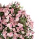 GloboStar® Artificial Garden ROSES TREE 21068 Τεχνητό Διακοσμητικό Δέντρο Τριανταφυλλιά Μ110 x Π110 x Υ240cm GloboStar® Artificial Garden ROSES TREE 21068 Τεχνητό Διακοσμητικό Δέντρο Τριανταφυλλιά Μ110 x Π110 x Υ240cm
