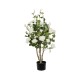 GloboStar® Artificial Garden WHITE ROSES 21069 Τεχνητό Διακοσμητικό Δέντρο Τριανταφυλλιά Μ50 x Π50 x Υ90cm GloboStar® Artificial Garden WHITE ROSES 21069 Τεχνητό Διακοσμητικό Δέντρο Τριανταφυλλιά Μ50 x Π50 x Υ90cm