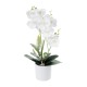GloboStar® Artificial Garden WHITE ORCHID 21076 Διακοσμητικό Φυτό Λευκή Ορχιδέα Υ45cm GloboStar® Artificial Garden WHITE ORCHID 21076 Διακοσμητικό Φυτό Λευκή Ορχιδέα Υ45cm