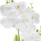 GloboStar® Artificial Garden WHITE ORCHID 21076 Διακοσμητικό Φυτό Λευκή Ορχιδέα Υ45cm GloboStar® Artificial Garden WHITE ORCHID 21076 Διακοσμητικό Φυτό Λευκή Ορχιδέα Υ45cm