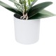 GloboStar® Artificial Garden WHITE ORCHID 21076 Διακοσμητικό Φυτό Λευκή Ορχιδέα Υ45cm GloboStar® Artificial Garden WHITE ORCHID 21076 Διακοσμητικό Φυτό Λευκή Ορχιδέα Υ45cm