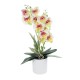 GloboStar® Artificial Garden WHITE - FUCHSIA ORCHID 21078 Διακοσμητικό Φυτό Λευκή - Φούξια Ορχιδέα Υ45cm GloboStar® Artificial Garden WHITE - FUCHSIA ORCHID 21078 Διακοσμητικό Φυτό Λευκή - Φούξια Ορχιδέα Υ45cm