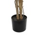 GloboStar® Artificial Garden PINK CHERRY 21098 Τεχνητό Διακοσμητικό Δέντρο Κερασιά Μ80 x Π80 x Υ160cm GloboStar® Artificial Garden PINK CHERRY 21098 Τεχνητό Διακοσμητικό Δέντρο Κερασιά Μ80 x Π80 x Υ160cm