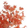 GloboStar® Artificial Garden MAPLE TREE 21105 Τεχνητό Διακοσμητικό Δέντρο Σφένδαμος Μ80 x Π80 x Υ160cm