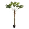 GloboStar® Artificial Garden WASHINGTONIA FILIFERA TREE 21107 Τεχνητό Διακοσμητικό Φοινικόδεντρου Υ200cm