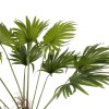 GloboStar® Artificial Garden WASHINGTONIA FILIFERA TREE 21107 Τεχνητό Διακοσμητικό Φοινικόδεντρου Υ200cm