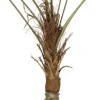 GloboStar® Artificial Garden WASHINGTONIA FILIFERA TREE 21107 Τεχνητό Διακοσμητικό Φοινικόδεντρου Υ200cm