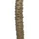 GloboStar® Artificial Garden WASHINGTONIA FILIFERA TREE 21107 Τεχνητό Διακοσμητικό Φοινικόδεντρου Υ200cm GloboStar® Artificial Garden WASHINGTONIA FILIFERA TREE 21107 Τεχνητό Διακοσμητικό Φοινικόδεντρου Υ200cm