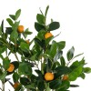 GloboStar® Artificial Garden ORANGE TREE 21109 Τεχνητό Διακοσμητικό Δέντρο Πορτοκαλιά Μ90 x Π70 x Υ160cm
