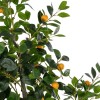 GloboStar® Artificial Garden ORANGE TREE 21110 Τεχνητό Διακοσμητικό Δέντρο Πορτοκαλιά Μ110 x Π80 x Υ200cm