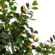 GloboStar® Artificial Garden ORANGE TREE 21110 Τεχνητό Διακοσμητικό Δέντρο Πορτοκαλιά Μ110 x Π80 x Υ200cm GloboStar® Artificial Garden ORANGE TREE 21110 Τεχνητό Διακοσμητικό Δέντρο Πορτοκαλιά Μ110 x Π80 x Υ200cm