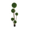 GloboStar® Artificial Garden BUXUS TREE 21111 Τεχνητό Διακοσμητικό Δέντρο Buxus Μ65 x Π60 x Υ200cm