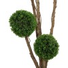 GloboStar® Artificial Garden BUXUS TREE 21111 Τεχνητό Διακοσμητικό Δέντρο Buxus Μ65 x Π60 x Υ200cm