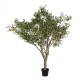 GloboStar® Artificial Garden OLIVE TREE 21112 Τεχνητό Διακοσμητικό Δέντρο Ελιά Υ220cm GloboStar® Artificial Garden OLIVE TREE 21112 Τεχνητό Διακοσμητικό Δέντρο Ελιά Υ220cm