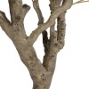 GloboStar® Artificial Garden OLIVE TREE 21112 Τεχνητό Διακοσμητικό Δέντρο Ελιά Υ220cm
