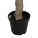 GloboStar® Artificial Garden OLIVE TREE 21112 Τεχνητό Διακοσμητικό Δέντρο Ελιά Υ220cm GloboStar® Artificial Garden OLIVE TREE 21112 Τεχνητό Διακοσμητικό Δέντρο Ελιά Υ220cm