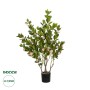 GloboStar® Artificial Garden CAMELIA 21115 Τεχνητό Διακοσμητικό Δέντρο Καμέλια Μ50 x Π30 x Υ90cm