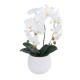 GloboStar® Artificial Garden WHITE ORCHID 21117 Διακοσμητικό Φυτό Λευκή Ορχιδέα Υ45cm GloboStar® Artificial Garden WHITE ORCHID 21117 Διακοσμητικό Φυτό Λευκή Ορχιδέα Υ45cm