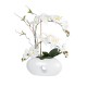 GloboStar® Artificial Garden WHITE ORCHID 21125 Διακοσμητικό Φυτό Λευκή Ορχιδέα Υ42cm GloboStar® Artificial Garden WHITE ORCHID 21125 Διακοσμητικό Φυτό Λευκή Ορχιδέα Υ42cm