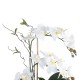GloboStar® Artificial Garden WHITE ORCHID 21125 Διακοσμητικό Φυτό Λευκή Ορχιδέα Υ42cm GloboStar® Artificial Garden WHITE ORCHID 21125 Διακοσμητικό Φυτό Λευκή Ορχιδέα Υ42cm