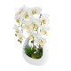 GloboStar® Artificial Garden WHITE ORCHID 21128 Διακοσμητικό Φυτό Λευκή Ορχιδέα Υ39cm GloboStar® Artificial Garden WHITE ORCHID 21128 Διακοσμητικό Φυτό Λευκή Ορχιδέα Υ39cm