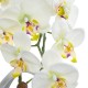 GloboStar® Artificial Garden WHITE ORCHID 21128 Διακοσμητικό Φυτό Λευκή Ορχιδέα Υ39cm GloboStar® Artificial Garden WHITE ORCHID 21128 Διακοσμητικό Φυτό Λευκή Ορχιδέα Υ39cm
