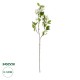 GloboStar® Artificial Garden WHITE JASMINE BRANCH 21145 Τεχνητό Διακοσμητικό Κλαδί Λευκό Γιασεμί Y80cm GloboStar® Artificial Garden WHITE JASMINE BRANCH 21145 Τεχνητό Διακοσμητικό Κλαδί Λευκό Γιασεμί Y80cm
